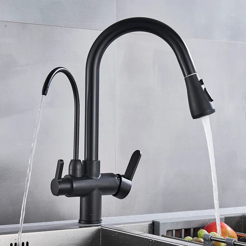 Afralia™ Matte Black Pure Water Dual Handle Kitchen Mixer Taps