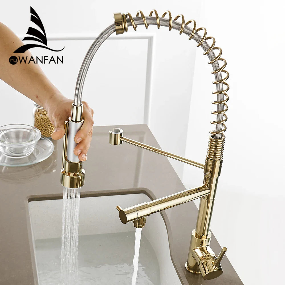 Afralia™ Gold Spring Spout Kitchen Faucet - Single Pull Out Mixer Tap