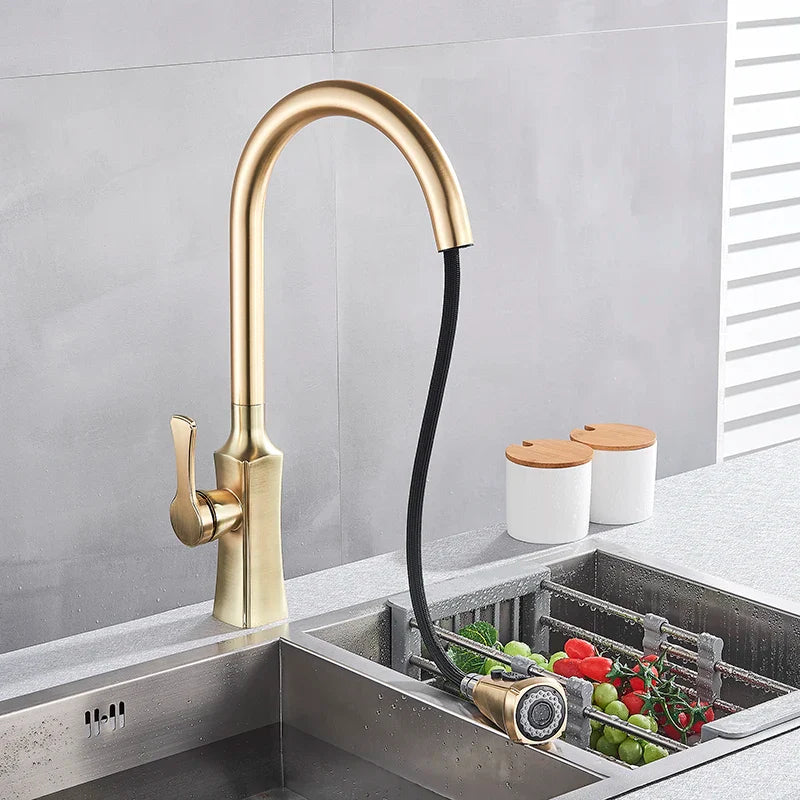 Afralia™ Brushed Gold Pull Out Kitchen Faucet with 2 Function Head and Spring Design