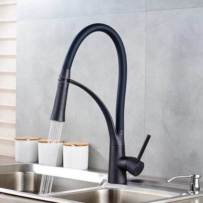 Afralia™ Black Hose Kitchen Mixer Tap with Single Handle Stream Sprayer, Chrome Finish