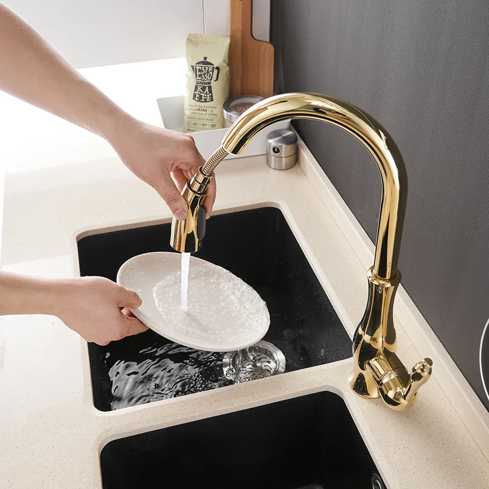 Afralia™ Black Single Handle Pull Out Kitchen Faucet - Swivel 360° Water Mixer Tap