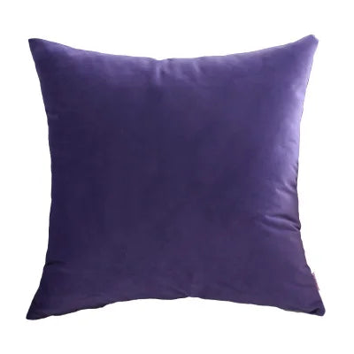 Afralia™ Velvet Cushion Covers for Home Decor Sofa Bed Chair, 45x45cm 60x60cm