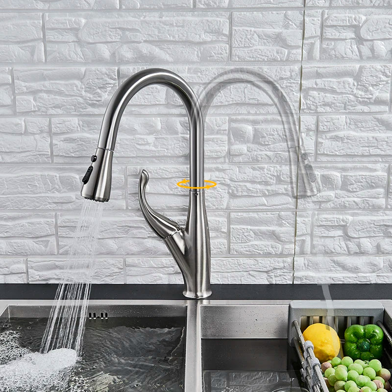 Afralia™ Uythner Kitchen Faucet with Pull Down Sprayer and Dual Function Spout