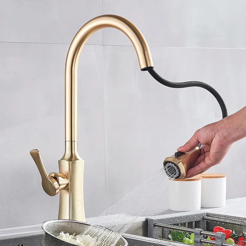Afralia™ Brushed Gold Pull Out Kitchen Faucet with 2 Function Head and Spring Design