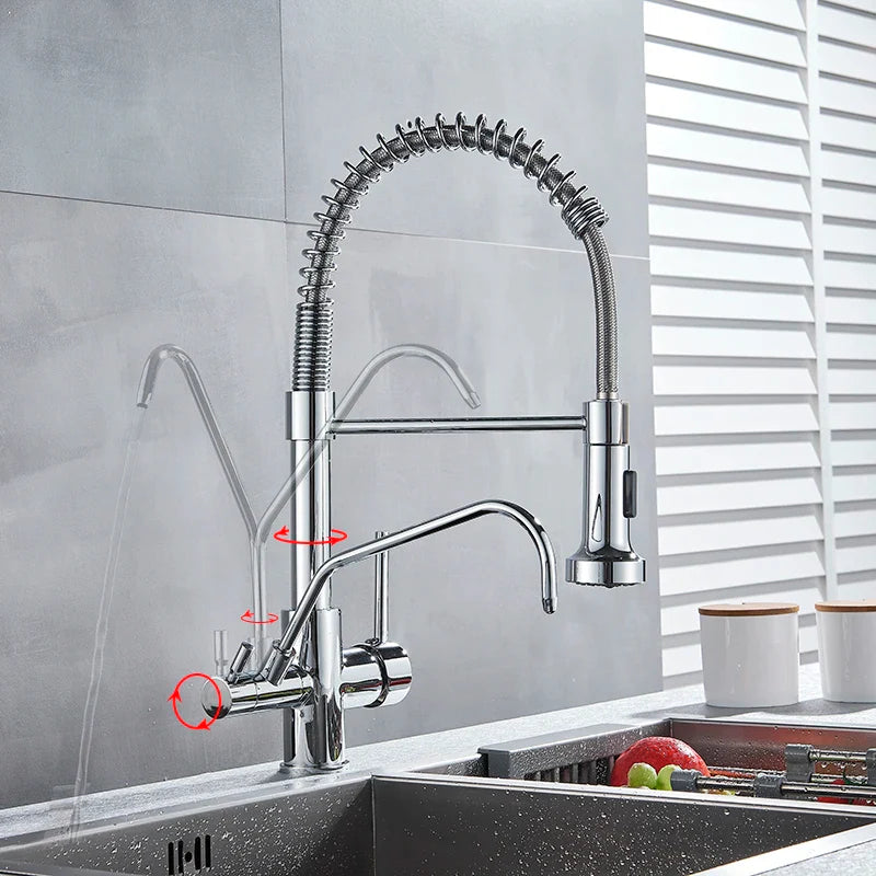 Afralia™ Black Dual Handle Kitchen Faucet with Water Purification Feature, 360° Rotation