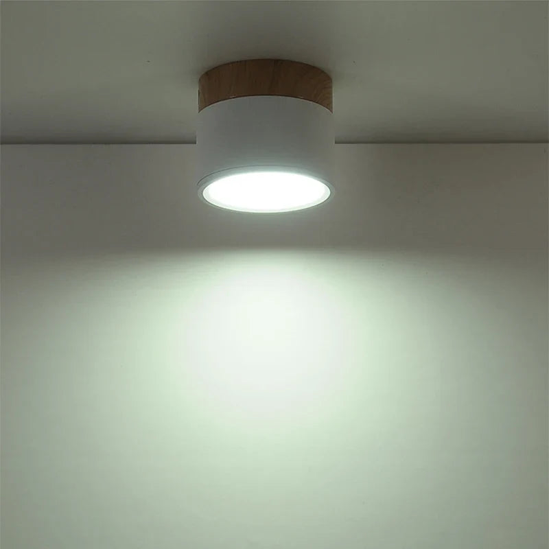 Afralia™ Nordic Color LED Ceiling Lights 5W-12W Aluminum Round Kitchen Ceiling Lamp