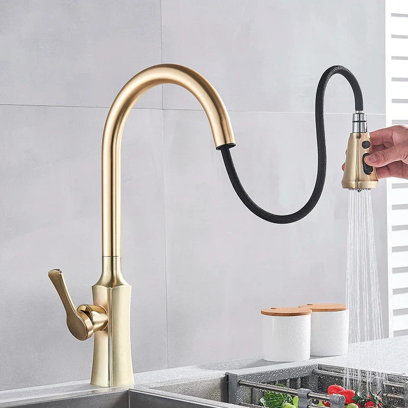 Afralia™ Brushed Gold Pull Out Kitchen Faucet with 2 Function Head and Spring Design