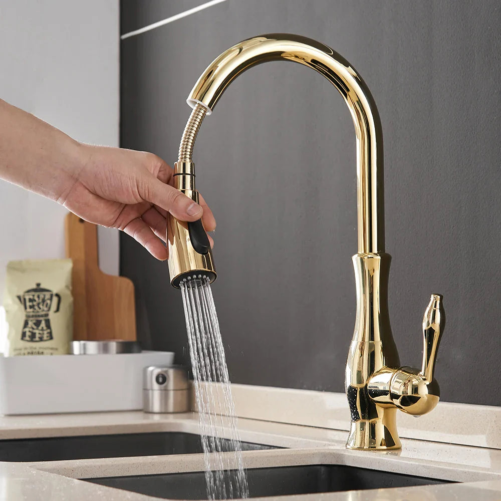 Afralia™ Black Single Handle Pull Out Kitchen Faucet - Swivel 360° Water Mixer Tap