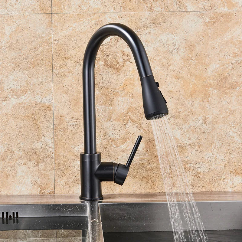 Afralia™ Black SUS304 Pull Out Kitchen Faucet Tap Single Handle Sink Mixer Spout