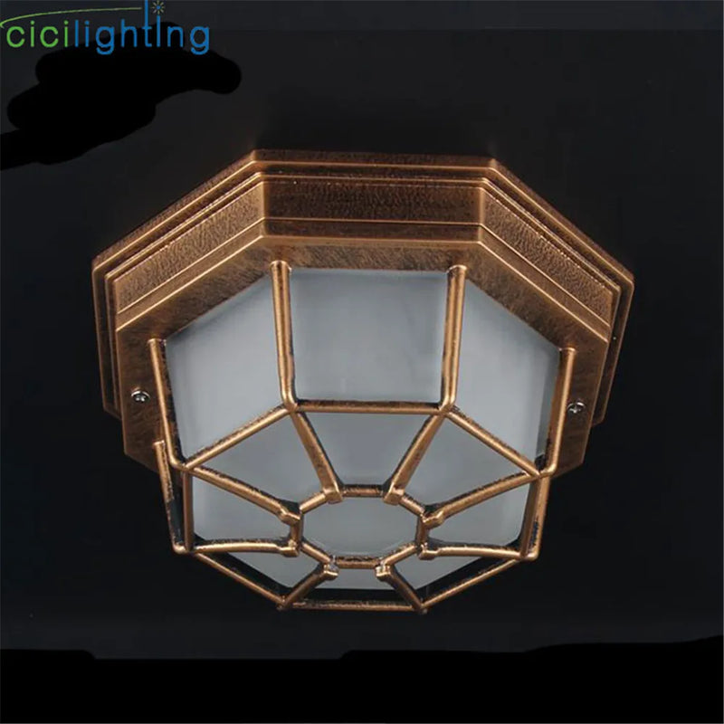 Afralia™ Rustic Frosted Glass Outdoor Ceiling Light Flush Lamp Europe IP Rated