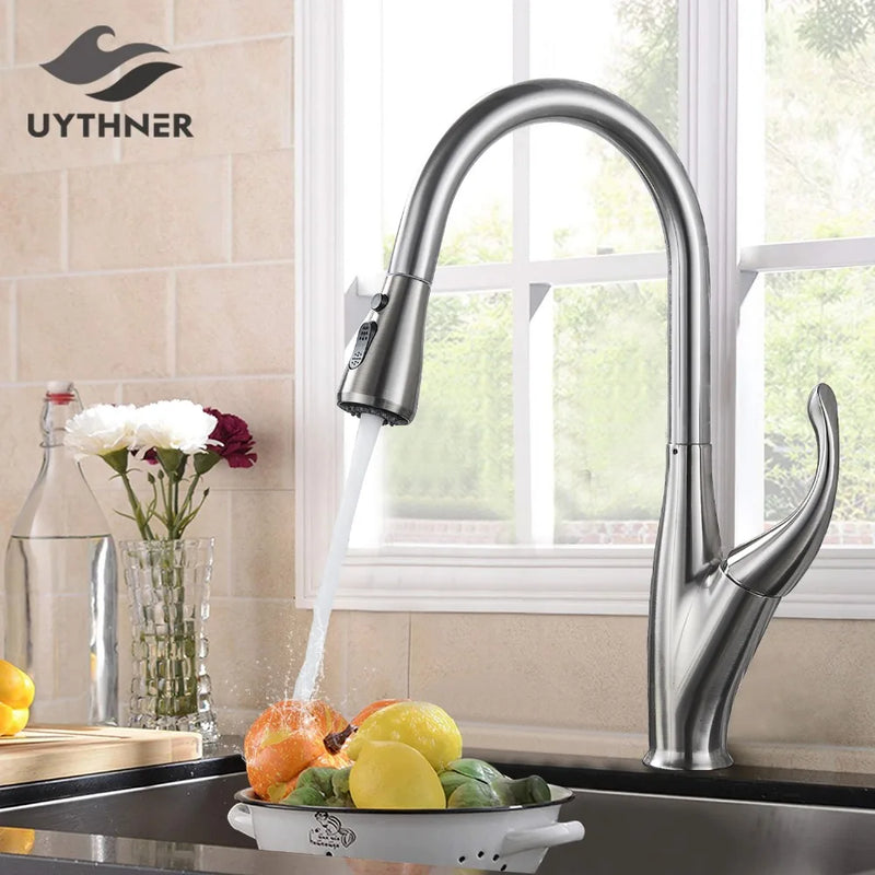 Afralia™ Uythner Kitchen Faucet with Pull Down Sprayer and Dual Function Spout