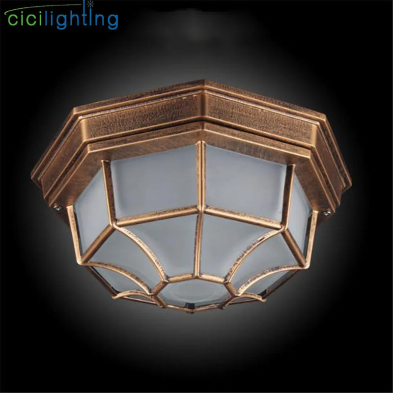 Afralia™ Rustic Frosted Glass Outdoor Ceiling Light Flush Lamp Europe IP Rated