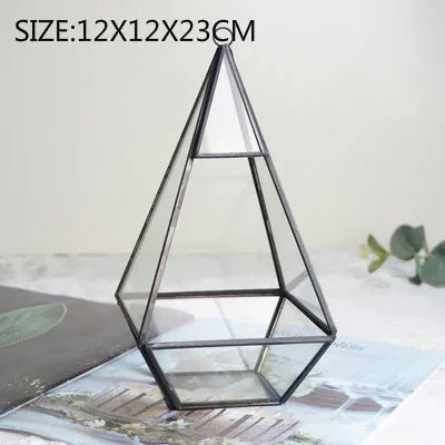 Afralia™ Geometric Glass Vase for Succulents and Flowers