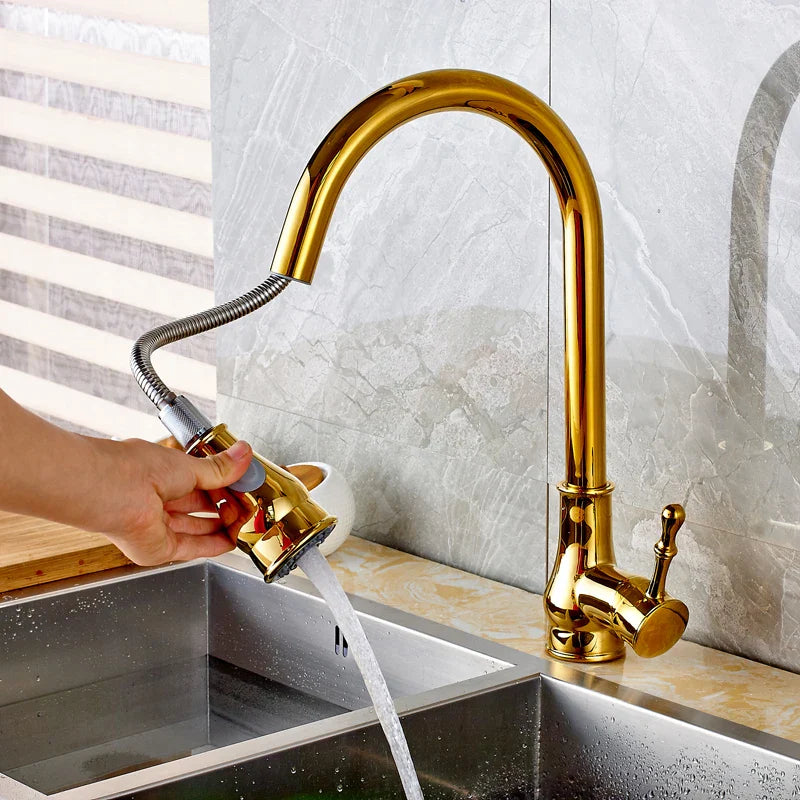 Afralia™ Brushed Nickel Pull Out Kitchen Faucet Single Lever Sprayer
