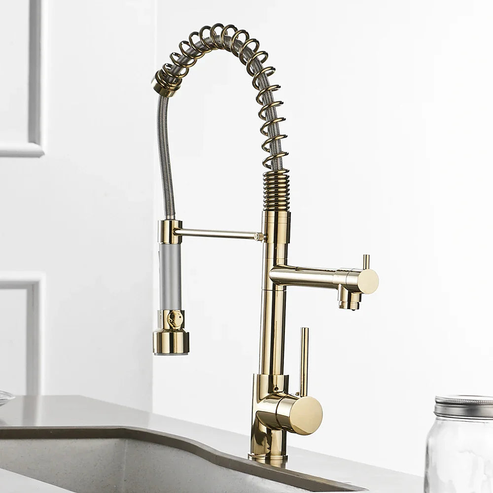 Afralia™ Gold Spring Spout Kitchen Faucet - Single Pull Out Mixer Tap