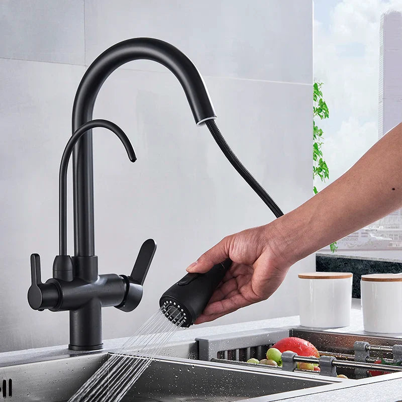 Afralia™ Matte Black Pure Water Dual Handle Kitchen Mixer Taps