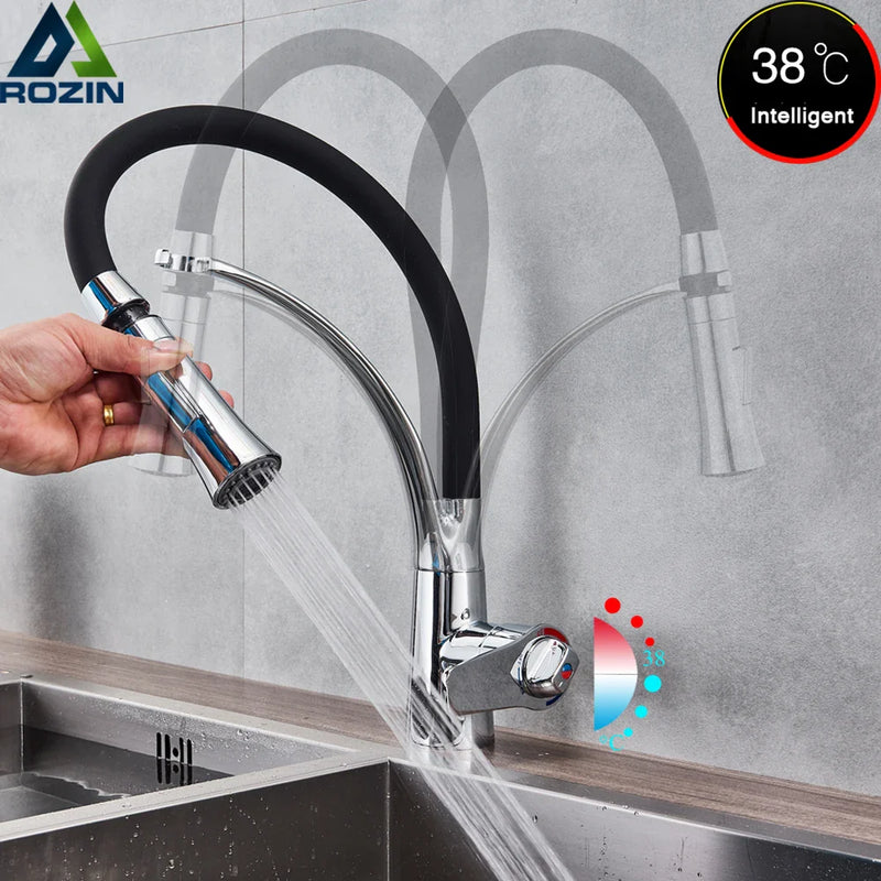 Afralia™ Black Hose Kitchen Mixer Tap with Single Handle Stream Sprayer, Chrome Finish