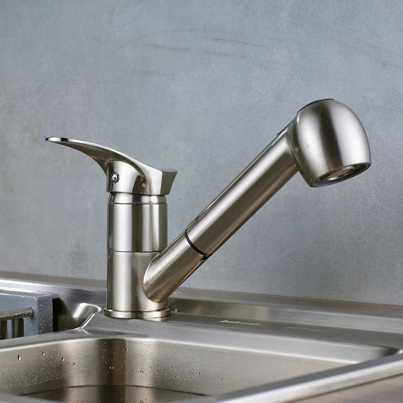 Afralia™ Brushed Nickel Kitchen Faucet with Sprayer Steam Spout