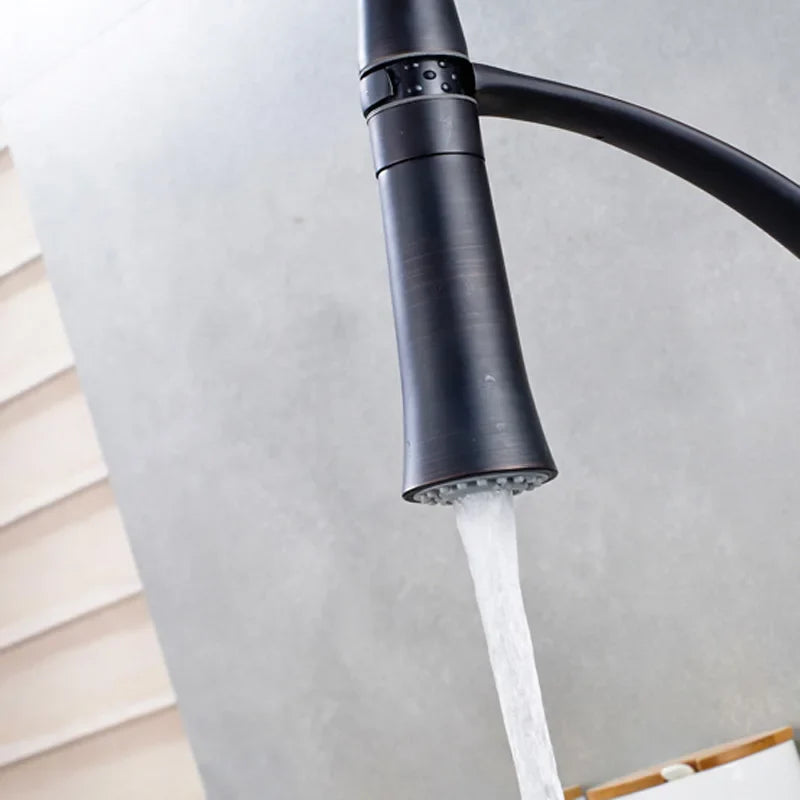 Afralia™ Kitchen Faucet Spray Head | Dual Function Stream Reaplce Head | Chrome Finish