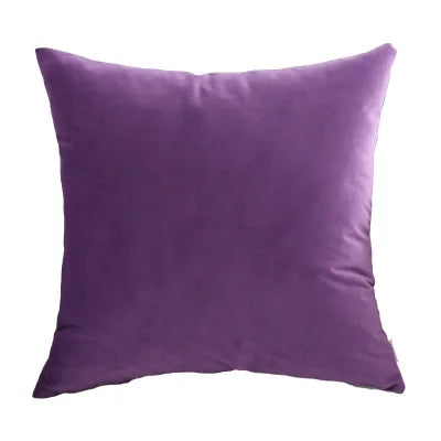 Afralia™ Velvet Cushion Covers for Home Decor Sofa Bed Chair, 45x45cm 60x60cm