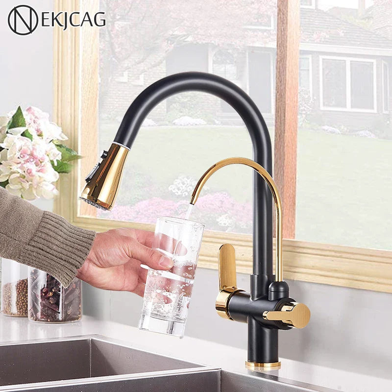 Afralia™ Black Gold Filter Kitchen Faucet with Dual Spout and Handles