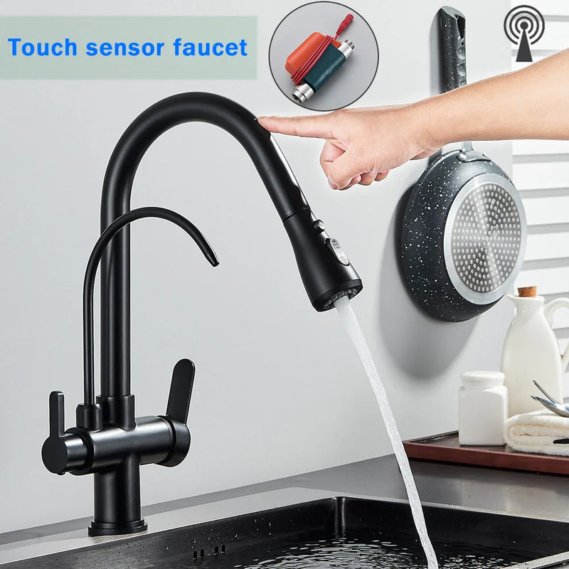 Afralia™ Black Dual Modes Kitchen Faucet 2 in 1 Pure Water Mixer Tap