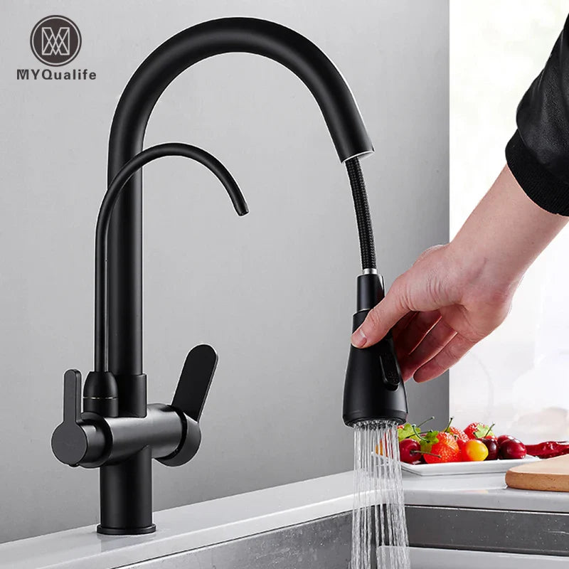 Afralia™ Matte Black Pure Water Dual Handle Kitchen Mixer Taps