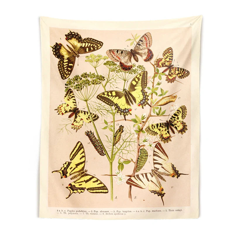 Vintage Butterfly Tapestry Wall Art Illustration Chart for Boho Decor by Afralia™