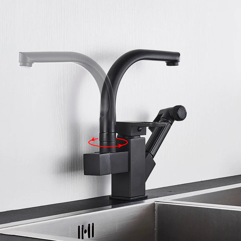 Afralia™ Dual Spout Black Kitchen Faucet with Pull Out Spray Mixer