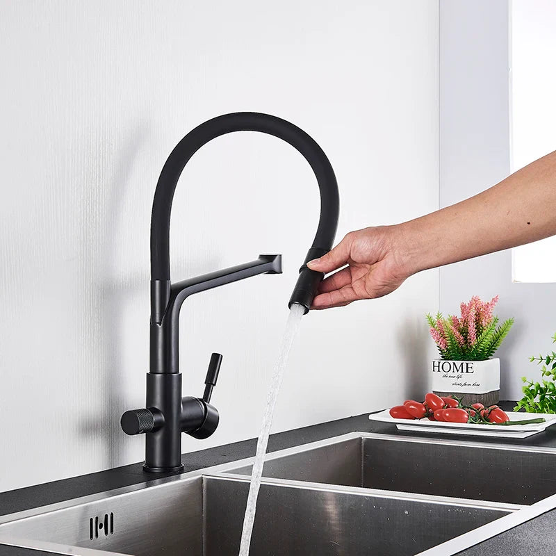 Afralia™ Matte Black Dual Handle Water Filter Kitchen Faucet Mixer for Purification