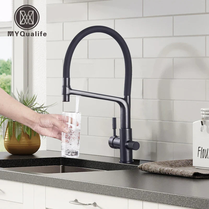 Afralia™ Matte Black Dual Handle Water Filter Kitchen Faucet Mixer for Purification