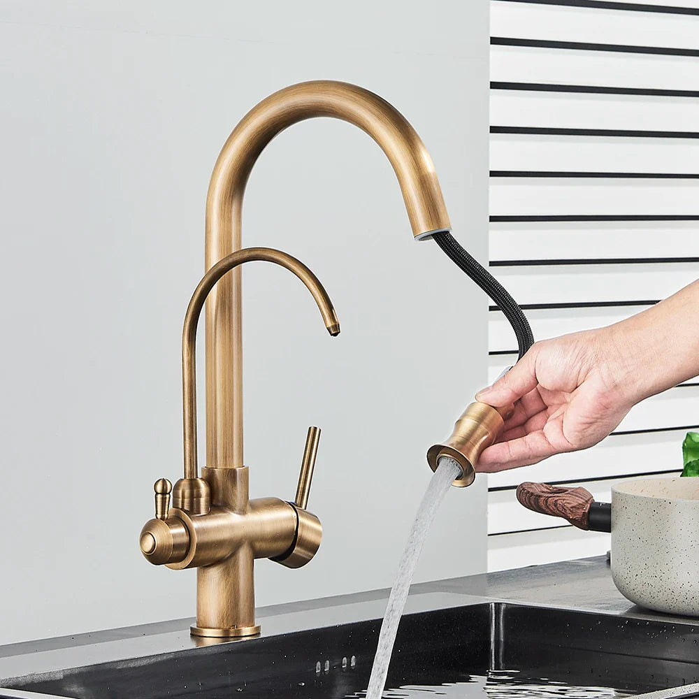 Afralia™ Dual Handle Brass Water Filter Kitchen Faucet with Pull Out Purification Feature