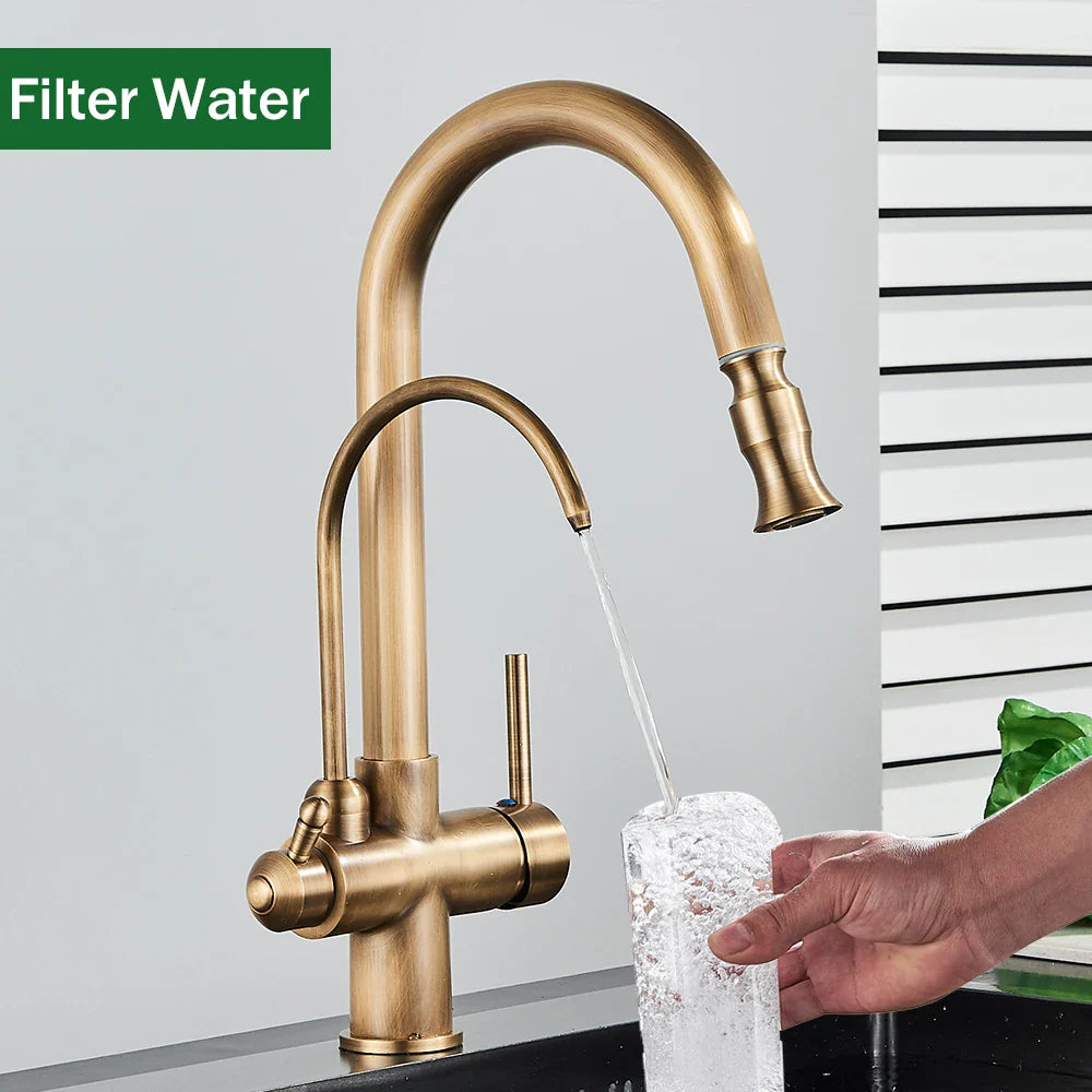 Afralia™ Antique Brass 2-in-1 Kitchen Faucet with Pull Out Nozzle and Purification
