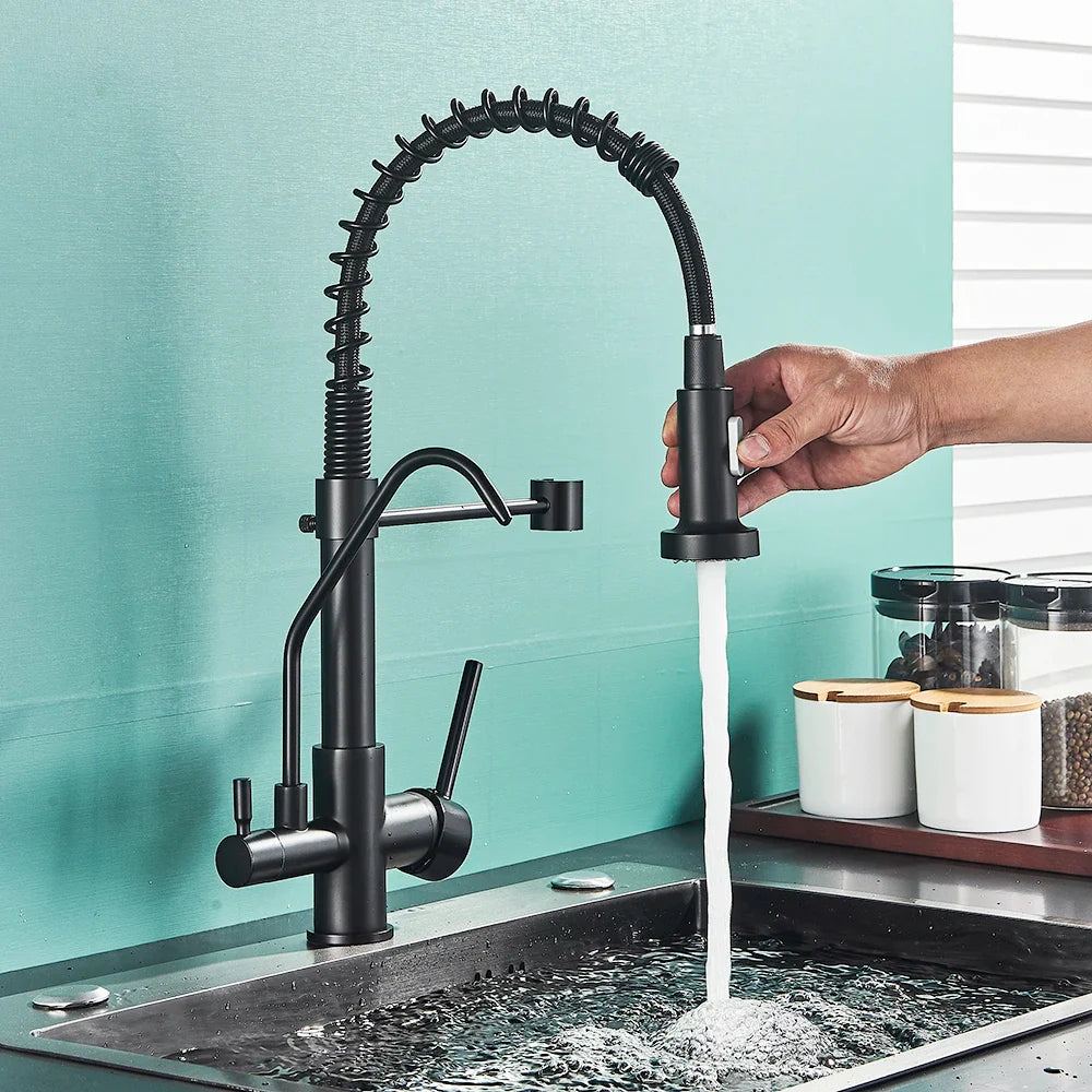 Afralia™ Matte Black Dual Handle Pure Water Filter Kitchen Faucet - Pull Out Design