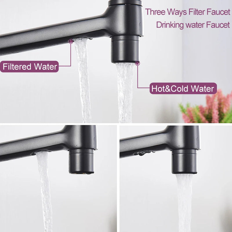 Afralia™ Matte Black Dual Handle Kitchen Faucet with Pure Water Filter for Hot/Cold Water