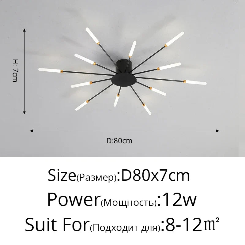 48215886856496