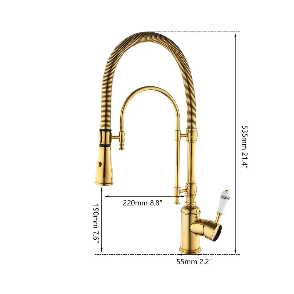 Afralia™ Golden Kitchen Faucet Vessel Sink Swivel Mixer Tap with Pull Down Spring