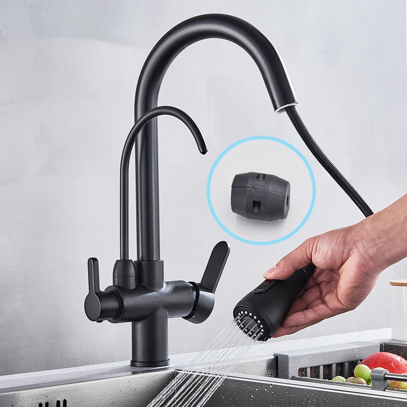 Afralia™ Black Pull Out 3 Way Mixer Kitchen Faucet with Water Filter