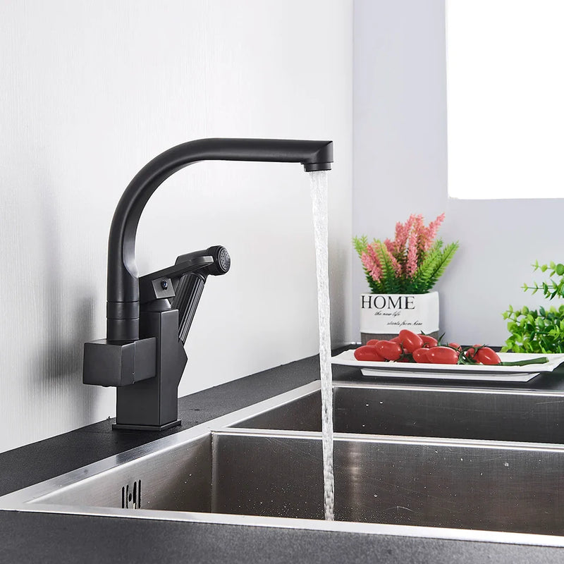 Afralia™ Dual Spout Black Kitchen Faucet with Pull Out Spray Mixer