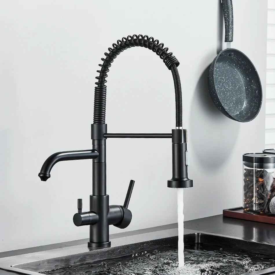 Afralia™ Dual Spout Kitchen Water Filter Faucet with Rotation Water Purification Feature