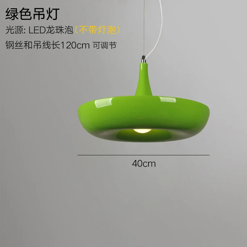 Afralia™ Modern Plant Pendant Lights: DIY Hanging Lamp for Home Decor Lighting Fixtures