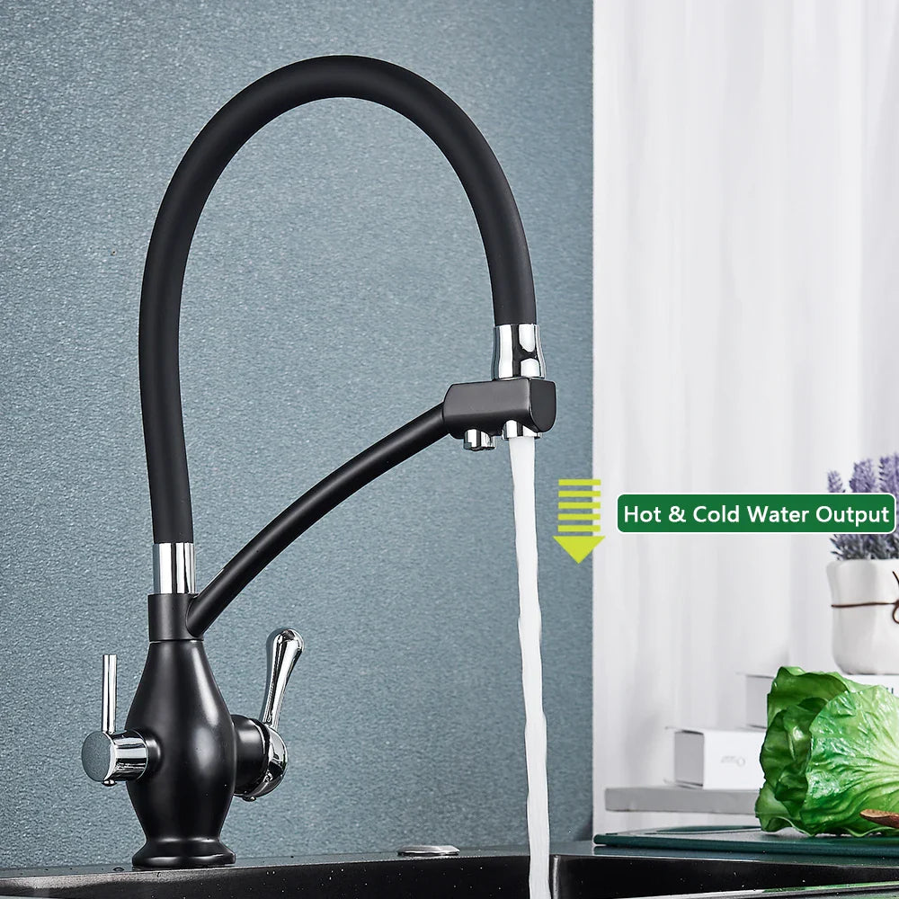Afralia™ Dual Spout Black Kitchen Faucet with Filter, Swivel Pull Down Nozzle