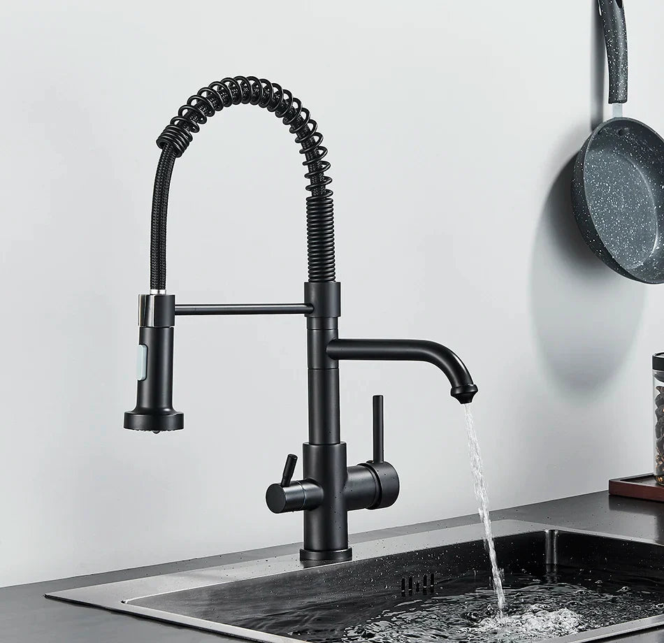 Afralia™ Dual Spout Kitchen Water Filter Faucet with Rotation Water Purification Feature