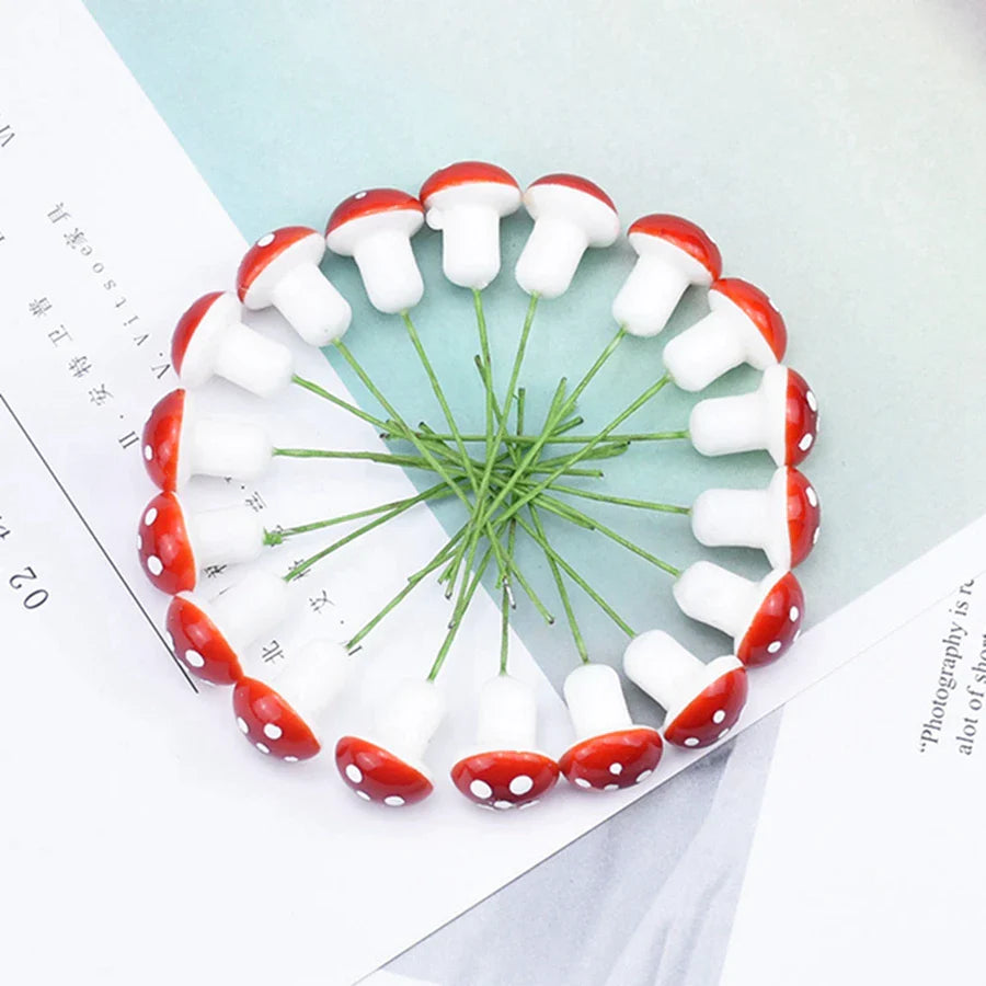 49435002700081|49435002732849