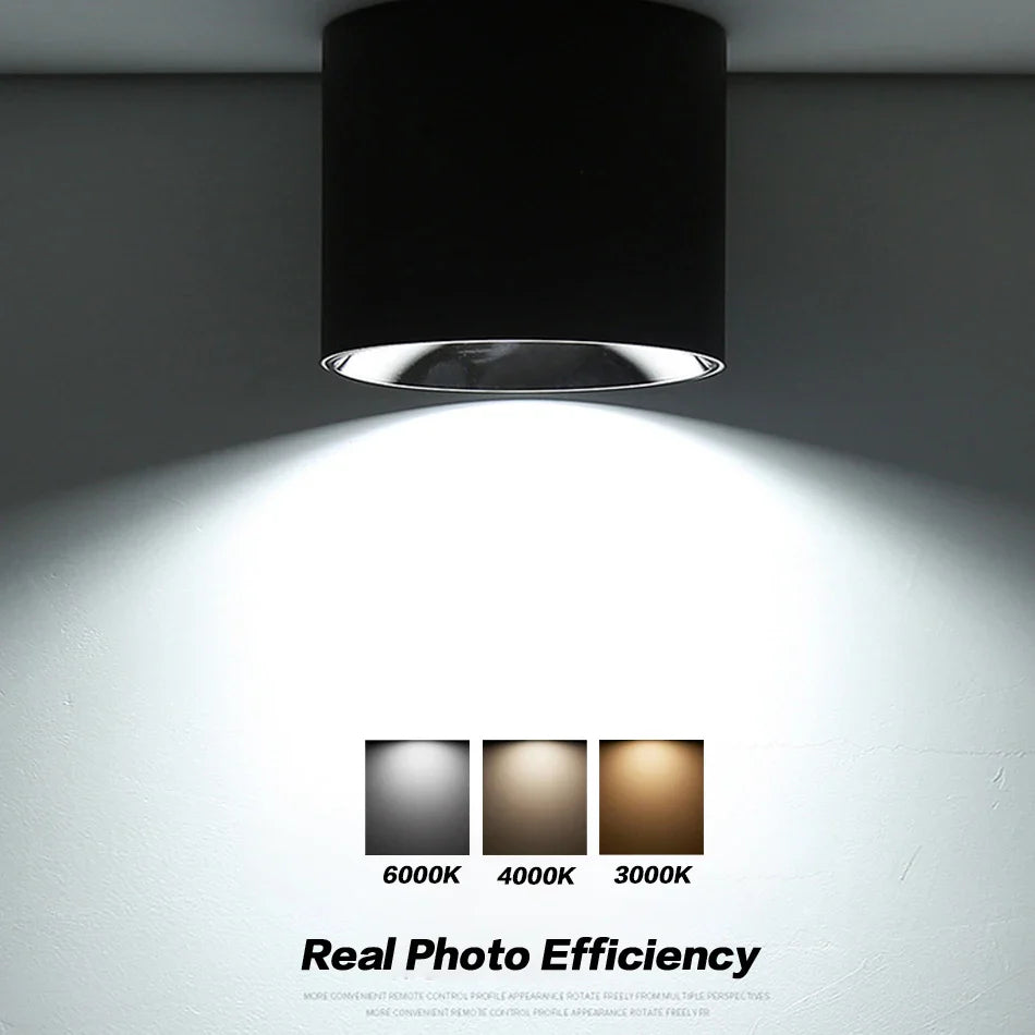 Afralia™ LED COB Downlights: High Brightness for Hotel Home Lighting