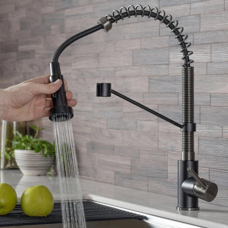 Afralia™ Stainless Steel Commercial Kitchen Faucet with Dual Function Spray Head