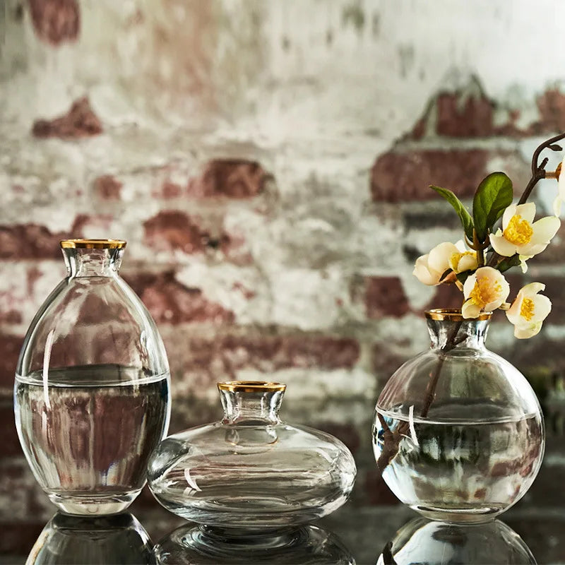 Afralia™ Mini Vase Set: Premium Glass Creative Transparent Decor Bottles for Home and Living Room