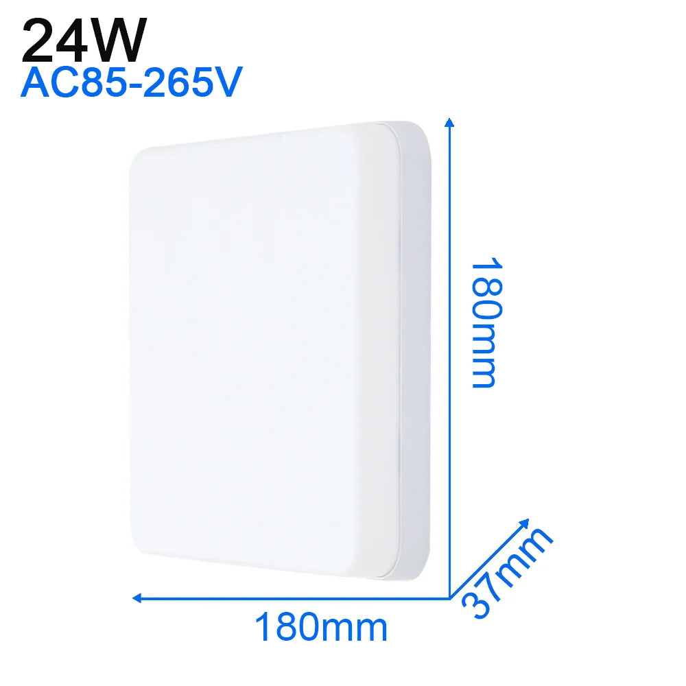 45290370892029|45290370924797