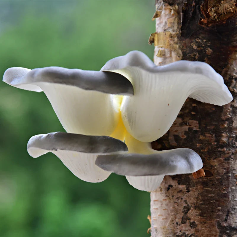 Afralia™ Artificial Mushroom Fungus Hanging Tree Decor for Outdoor Gardens