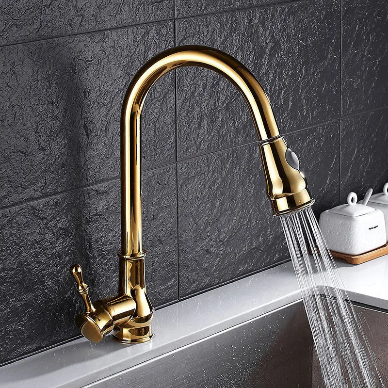 Afralia™ Gold Kitchen Faucet Pull Out Swivel Water Mixer Tap Single Handle Sink